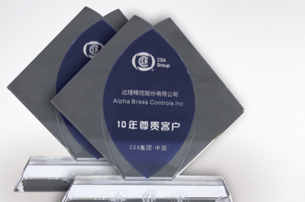 Awarded for honorable 10th anniversary VIP customer of CSA