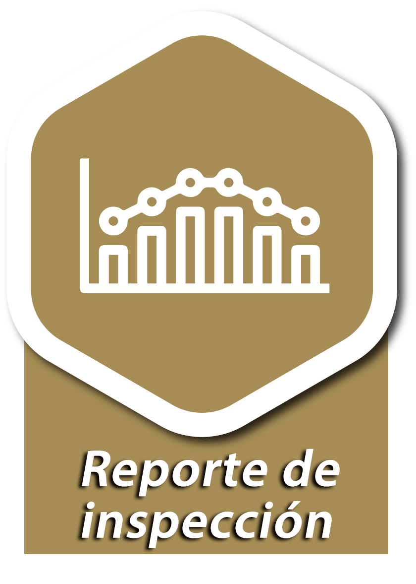 Cooking Appliance Inspection Process - Inspection Report