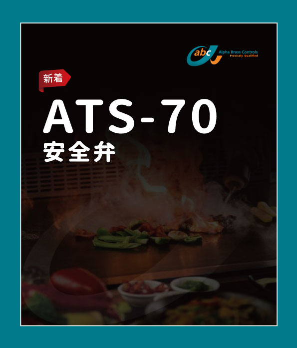 ATS-70 安全弁