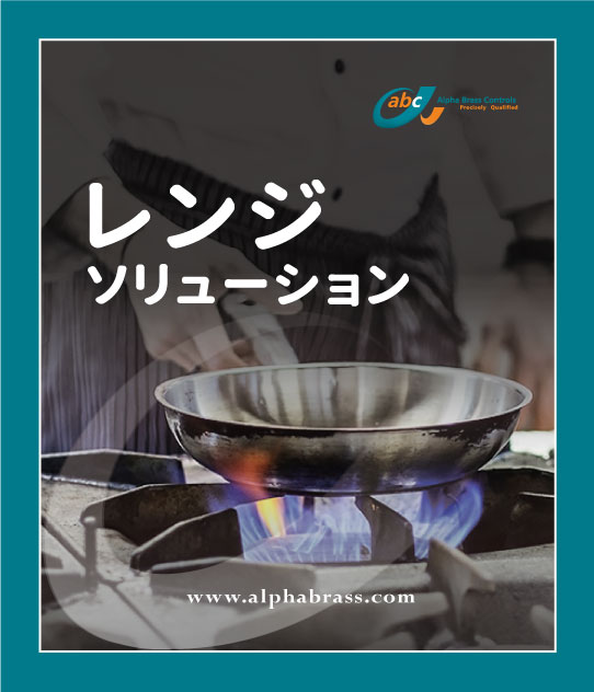 レンジソリューション